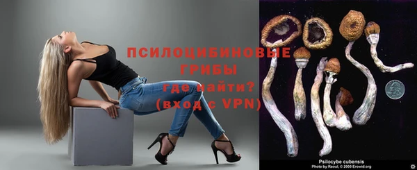 mdpv Верхний Тагил