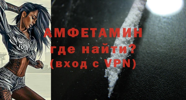 амф Бородино